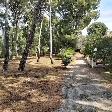 Studio Mado Bord De Mer Avec Terrasse Et Parking Lejlighed *