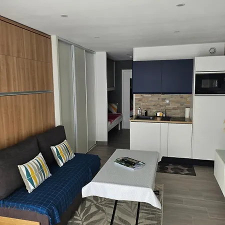 Studio Mado Bord De Mer Avec Terrasse Et Parking 公寓 *
