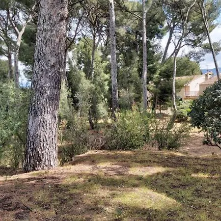 Studio Mado Bord De Mer Avec Terrasse Et Parking Appartement Saint-Cyr-sur-Mer